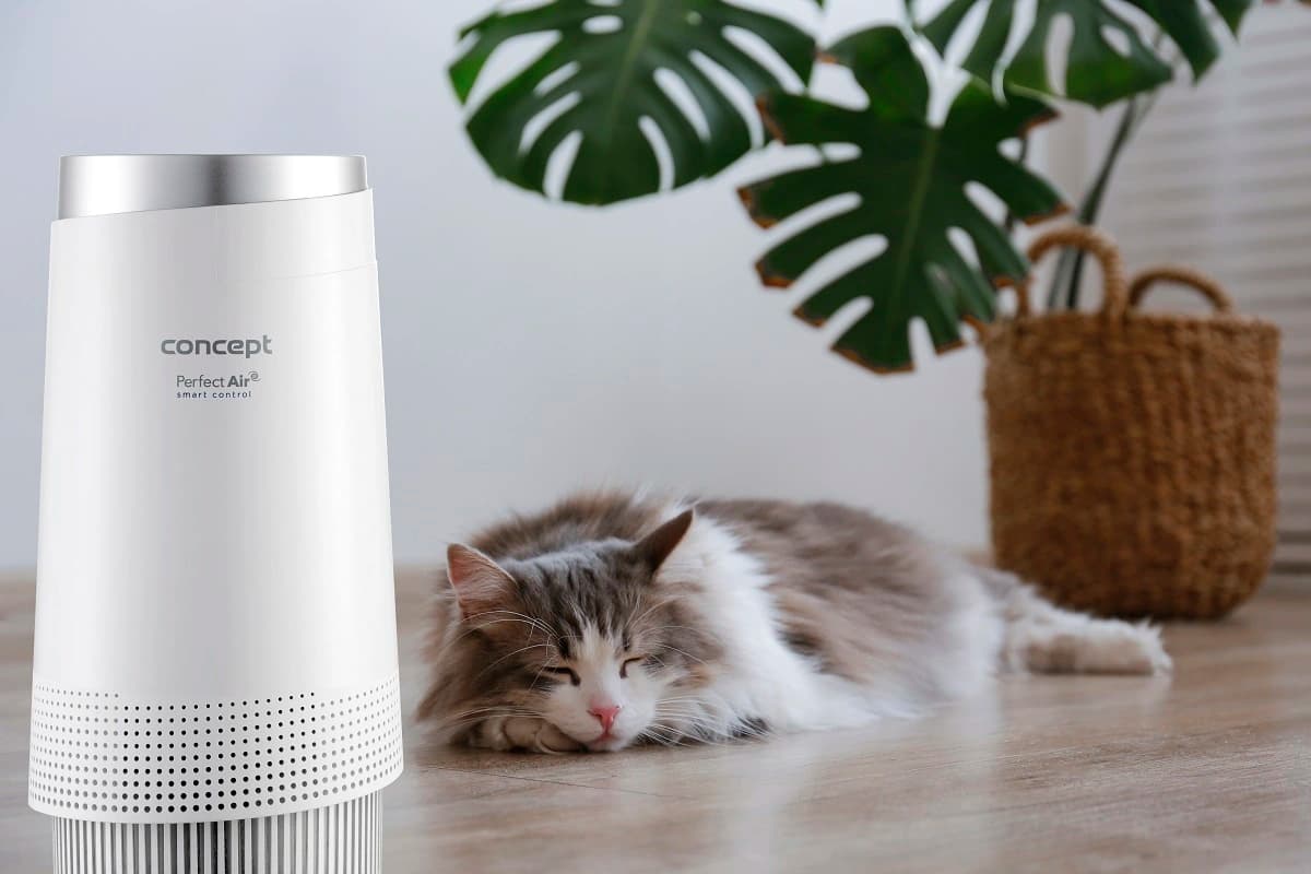 Concept Čistička vzduchu Perfect Air Smart CA1010 - náhled 2