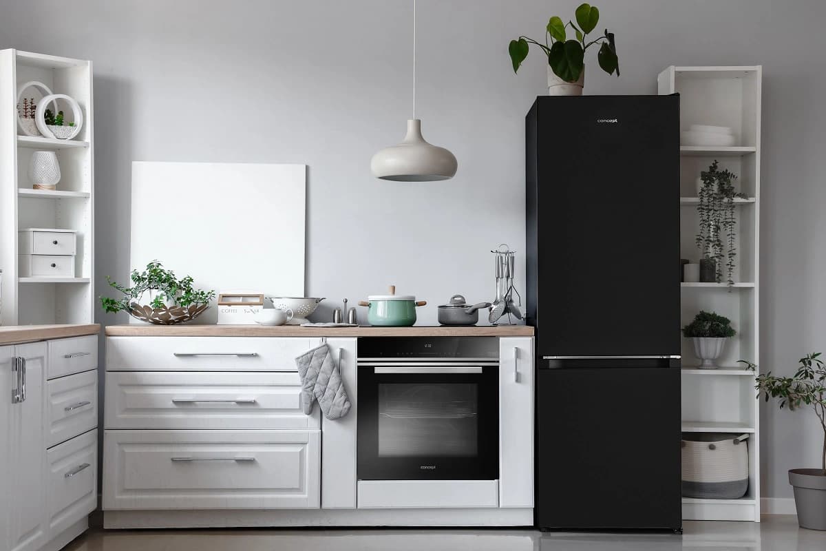 Concept Lednice s mrazákem LK3354bc - náhled 3