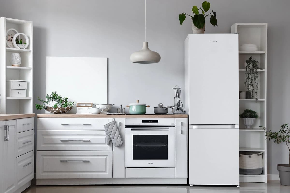 Concept Lednice s mrazákem LK3354wh - náhled 2