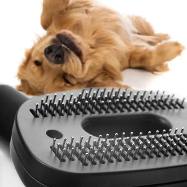 Concept Bezsáčkový vysavač 4A RADICAL Pet Expert 800 W VP5240n - náhled 3