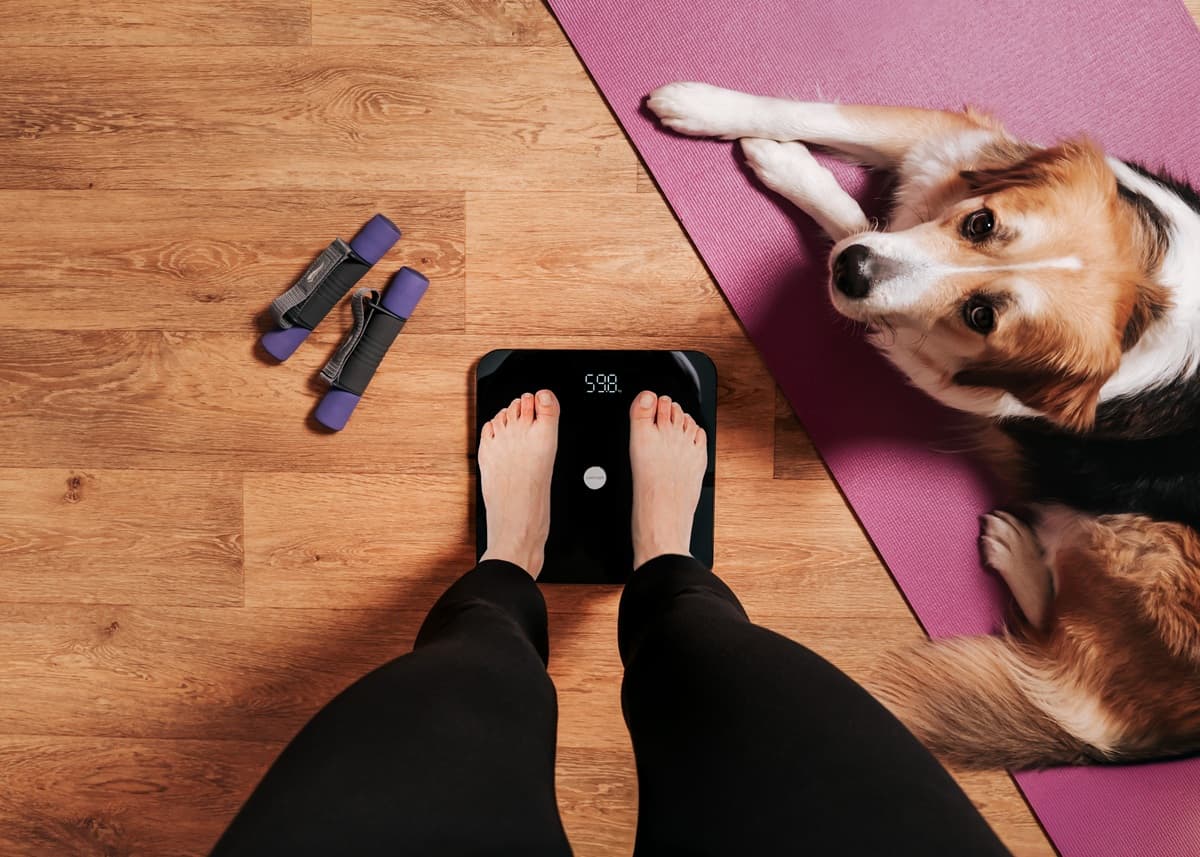 Concept Osobní váha diagnostická 180 kg PERFECT HEALTH VO5100 - náhled 4